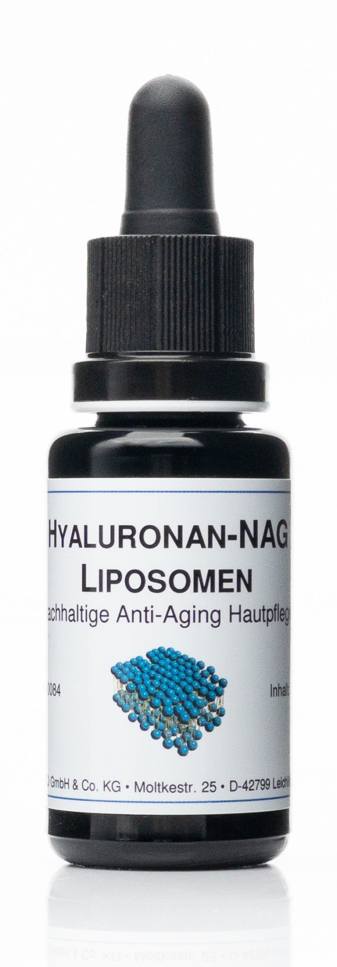 Liposomes NAG hyaluroniques
